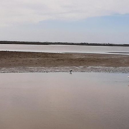 Appartement Calme A Deux Pas De La Mer Saintes-Maries-de-la-Mer Zewnętrze zdjęcie